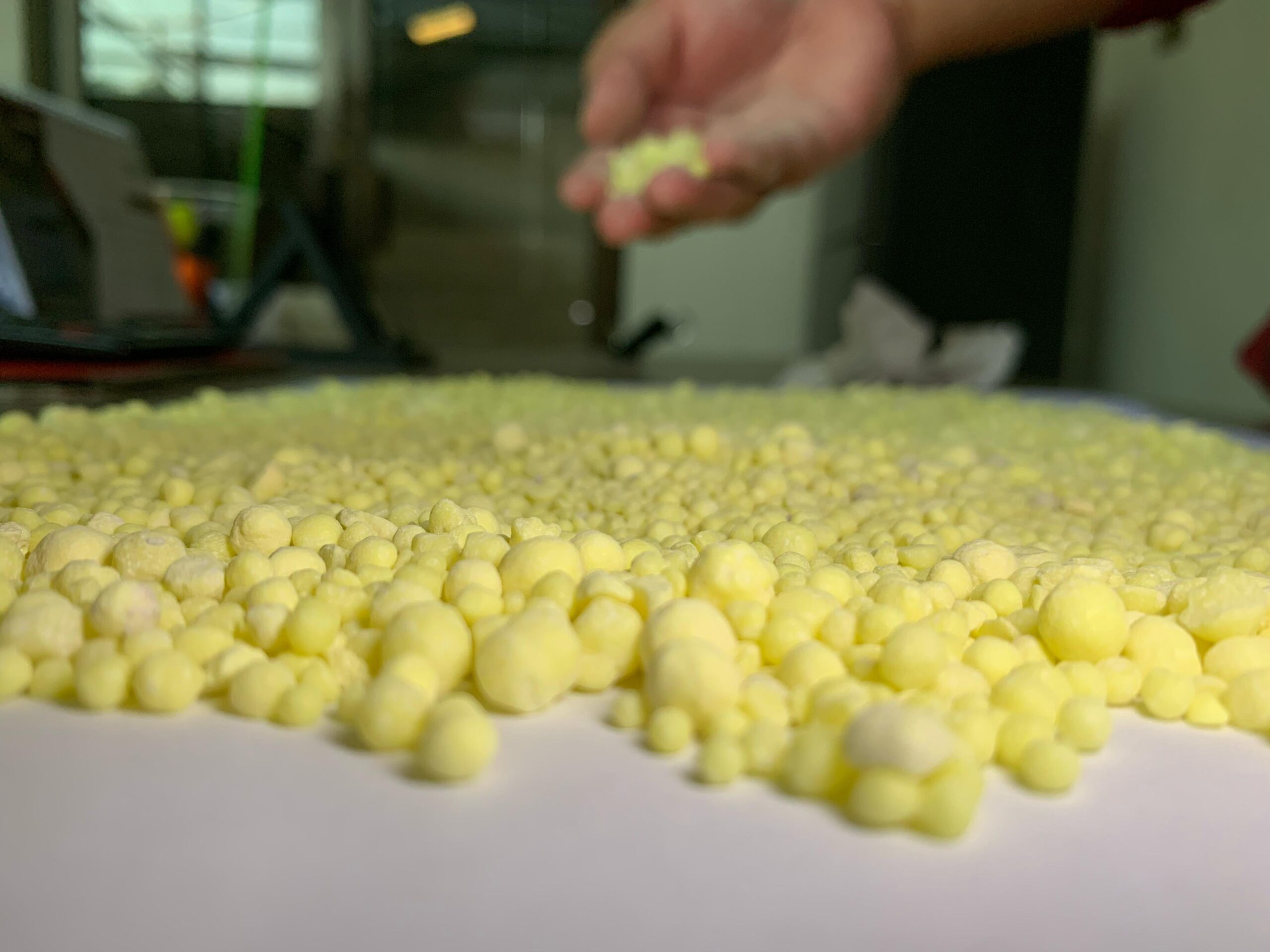 WhatsApp Image 2025-05-18 at 18.25.04 (1)